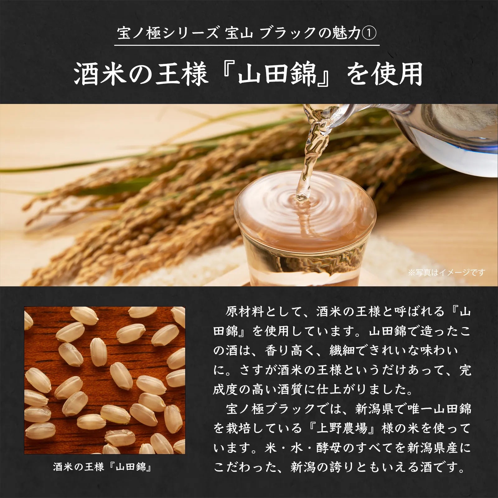 宝ノ極 純米大吟醸ブラック
