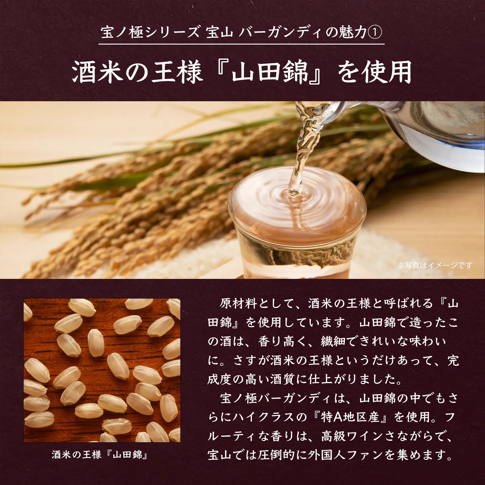 Takaranogiwaki Junmai Daiginjo Burgundy