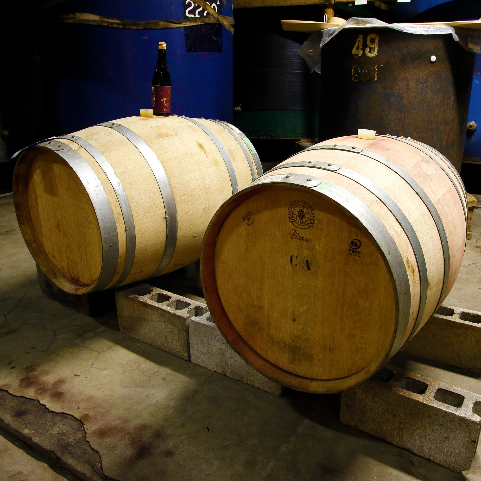 たからやま prototype ワイン樽熟成